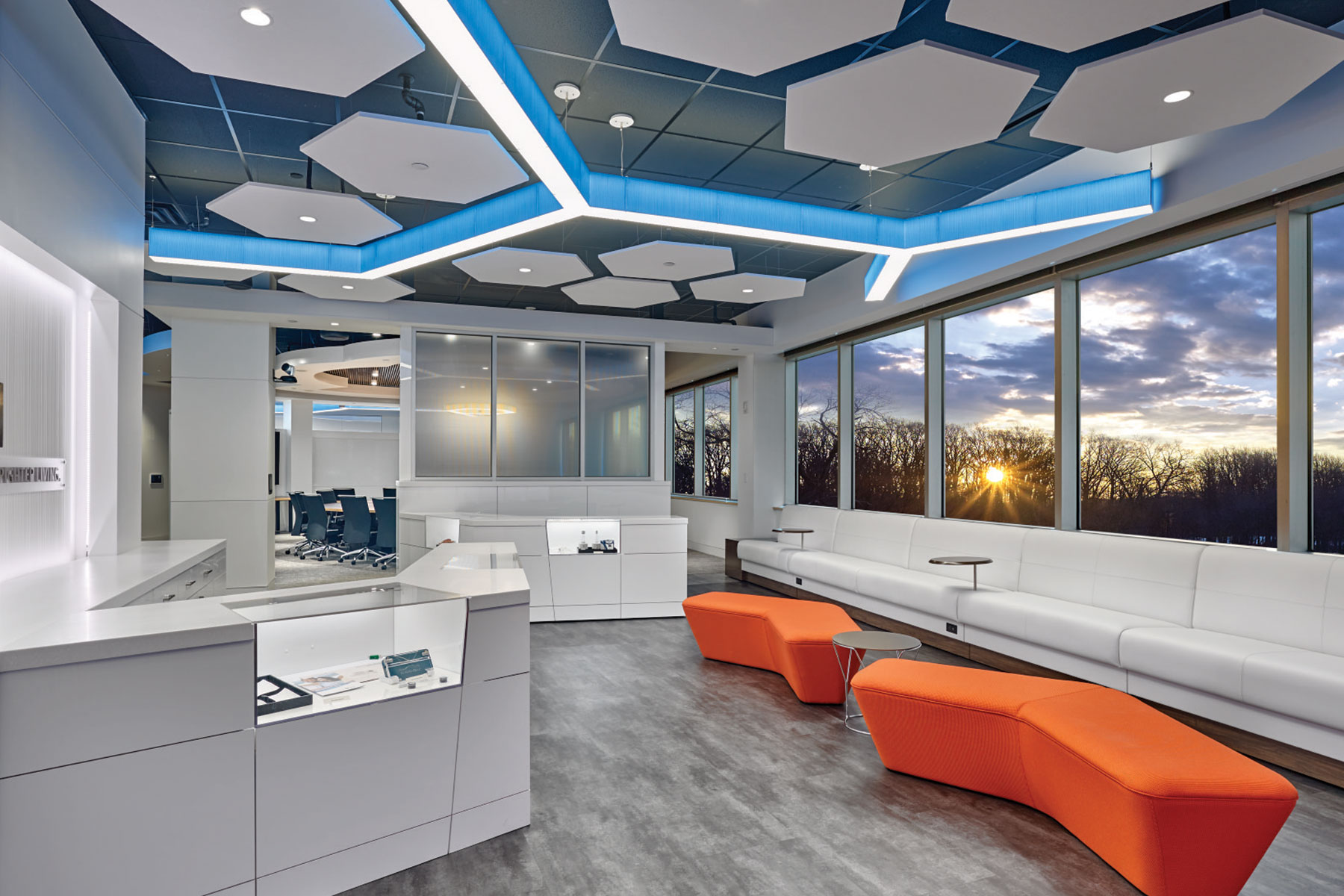 DSM Biomedical – Innovation Center